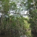 lake_mandicocha_la_v_0163_ecu0866.jpg